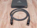 Shunyata Research Alpha V2 NR highend audio power cable C15 1,75 metre