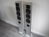 Piega Ace 50 Floorstanding Speakers Ex Demo