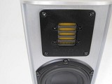 Piega Ace 50 Floorstanding Speakers Ex Demo