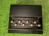 Pear Audio Klingon Trioden Röhren Endstufe