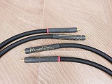 Audience Maestro audio interconnects RCA 1,0 metre