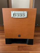 Yamaha NS E-55