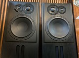 Acapella Celesta MK II Transmissionline Standlautsprecher