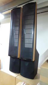 Martin Logan Ascent Electrostatic Loudspeakers