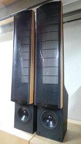 Martin Logan Ascent Electrostatic Loudspeakers