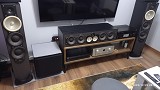 Paradigm Paradıgm monitör 11v6