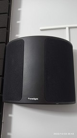 Paradigm Paradıgm monitör 11v6