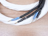 Signal Projects Avaton highend audio bi-wired speaker cables 2,0 metre