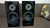 Pylon Audio Pylon Audio Diamond Monitor 18