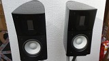 Raidho C1.2 Speakers Boxed with Stands