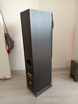 DALI Oberon 5