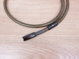 Wireworld Gold Starlight 8