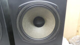 Tannoy 12" Dual Concentric