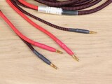 Black Cat Cable 3232