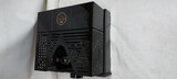 Cayin  Soul 170i