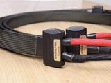 Wireworld Gold Eclipse 6