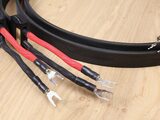 Wireworld Gold Eclipse 6