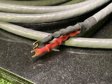 Tara Labs RSC Prime BiWire