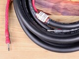 Cardas Audio Clear Reflection