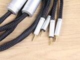 Ansuz Acoustics Speakz A2 