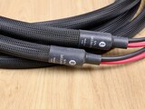 Purist Audio Design Genesis (Luminist) 