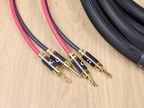 Purist Audio Design Genesis (Luminist) 