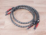 Wireworld Eclipse 7