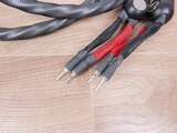 Wireworld Eclipse 7