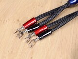 AudioQuest ThunderBird BiWire COMBO