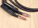 AudioQuest Pegasus