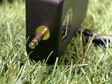 Phonosophie 3,5mm Klinke