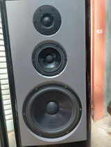Art Audio Alnico 10 