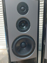 Art Audio Alnico 10 