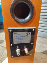 Art Loudspeakers Expression V6