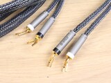 Ansuz Acoustics Speakz D-TC3