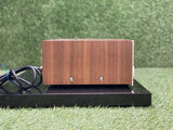 Yamaha CA-810
