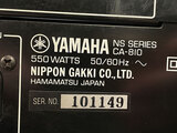 Yamaha CA-810