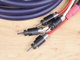 Furutech Alpha-S25