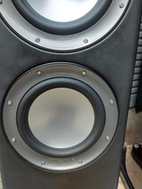 Monitor Audio PL300