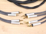 Ansuz Acoustics Speakz P2