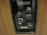 Tannoy Canterbury GR-OW