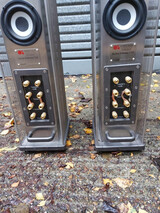 Anthony Gallo Ref 5S Speakers with Bass Amp 6'6" Tall