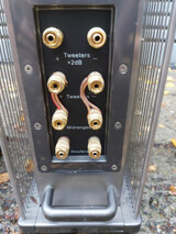 Anthony Gallo Ref 5S Speakers with Bass Amp 6'6" Tall