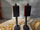 Bowers and Wilkins 805S