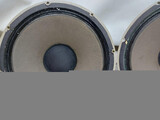 Tannoy 15" Monitor Golds