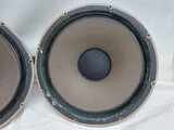 Tannoy 15" Monitor Golds