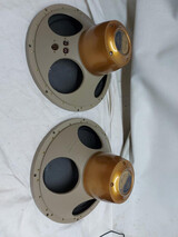 Tannoy 15" Monitor Golds