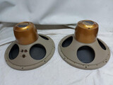 Tannoy 15" Monitor Golds