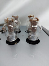 Viva Audio Little Preciso 300B