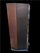 Casta Acoustic Elettra